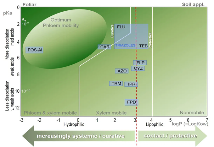 Модель Бромилова