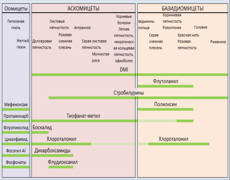 Спектр активности